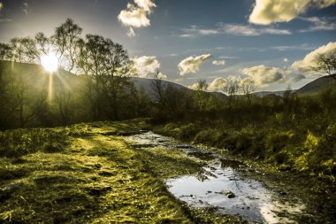 Cairngorms Ulusal Parkı 'nda sonbahar. Glen Mark, Angus, İskoçya, İngiltere