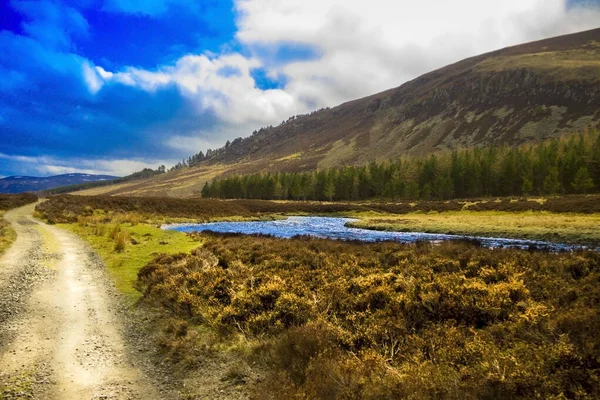 Parque Nacional Cairngorms Glen Mark Angus Escocia Reino Unido — Foto de Stock