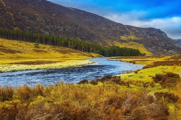 Parque Nacional Cairngorms Glen Mark Angus Escocia Reino Unido — Foto de Stock