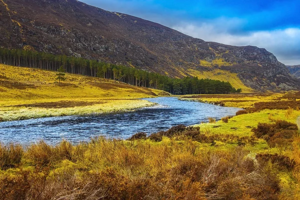 Parque Nacional Cairngorms Manômetros Industriais Angus Escócia Reino Unido — Fotografia de Stock