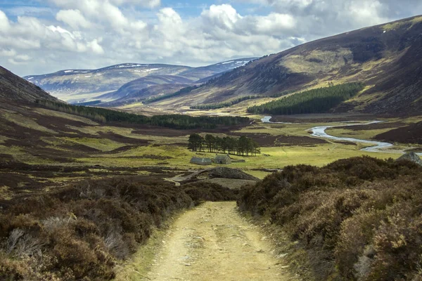 凯恩斯国家公园 Glen Mark Angus 联合王国 苏格兰 — 图库照片