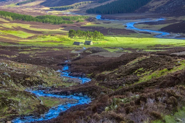 Parque Nacional Cairngorms Glen Mark Angus Escocia Reino Unido — Foto de Stock