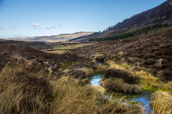 Parque Nacional Cairngorms Manômetros Industriais Angus Escócia Reino Unido — Fotografia de Stock