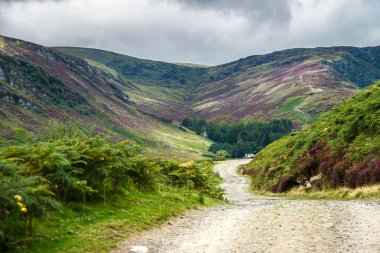Cairngorms Ulusal Parkı 'nda yürüyüş parkı. Angus, İskoçya, Birleşik Krallık. İskoçya manzarası.