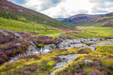 Cairngorms Ulusal Parkı 'nda yürüyüş parkı. Angus, İskoçya, Birleşik Krallık. İskoçya manzarası.