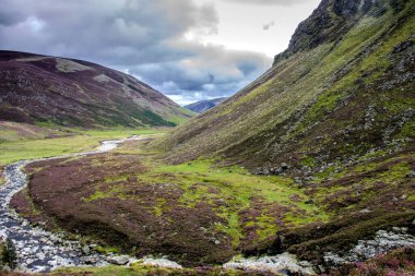 Cairngorms Ulusal Parkı. Angus, İskoçya, İngiltere