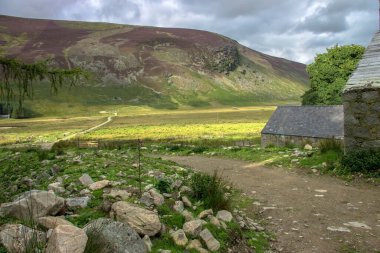 İskoç kırsal arazisi. Angus, İskoçya, Birleşik Krallık.