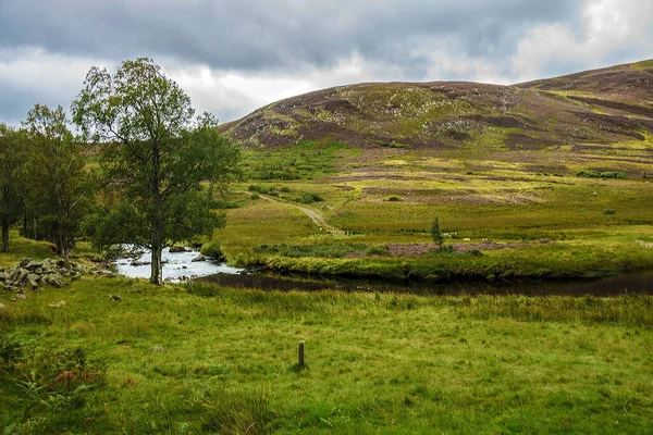 Escocés Paisaje Rural Angus Escocia Reino Unido — Foto de Stock