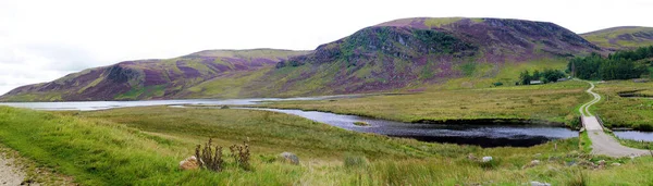 Camino Alrededor Loch Lee Angus Escocia Reino Unido Parque Nacional — Foto de Stock