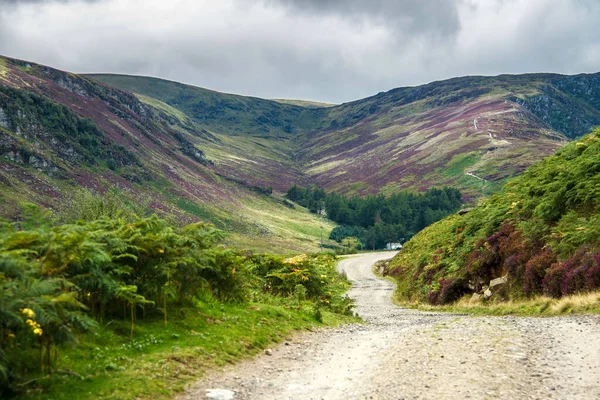 Trilha Caminhada Parque Nacional Cairngorms Angus Escócia Reino Unido Escócia — Fotografia de Stock