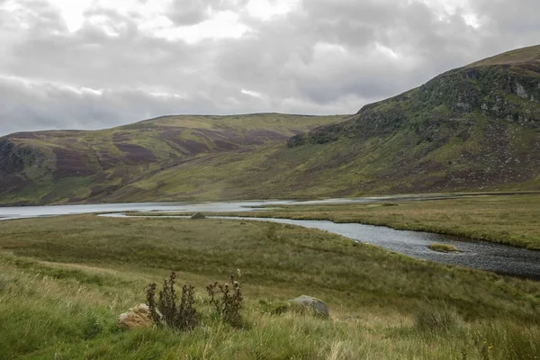 Path Loch Lee Angus Scozia Regno Unito Parco Nazionale Cairngorms — Foto Stock