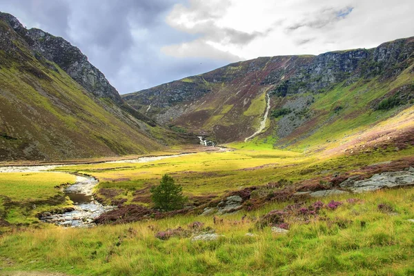 Vandringsled Kairngorms Nationalpark Angus Skottland Förenade Kungariket Skottland Landskap — Stockfoto