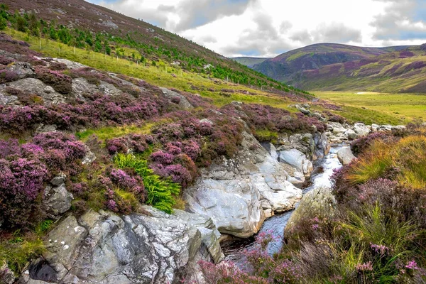 Vandringsled Kairngorms Nationalpark Angus Skottland Förenade Kungariket Skottland Landskap — Stockfoto