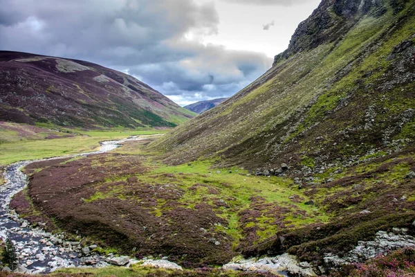 Parque Nacional Cairngorms Angus Escócia Reino Unido — Fotografia de Stock