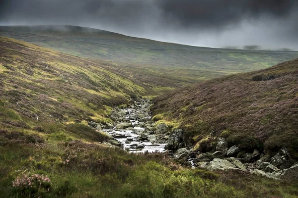 Wandelpad Cairngorms Nationaal Park Angus Schotland Verenigd Koninkrijk Schotse Landschap — Stockfoto