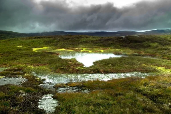 Pantano Parque Nacional Cairngorms Angus Escocia Reino Unido — Foto de Stock