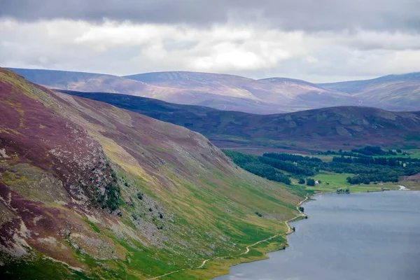 Loch Lee Angus Skotsko Velká Británie Národní Park Cairngorms Skotská — Stock fotografie