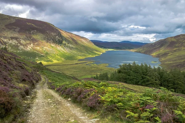 Loch Lee Angus Escócia Reino Unido Parque Nacional Cairngorms Escócia — Fotografia de Stock