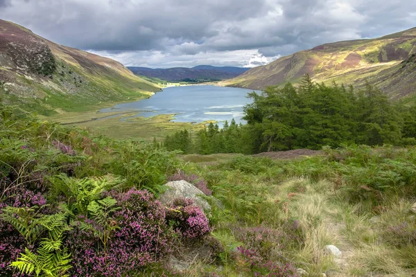 Loch Lee Angus Schottland Großbritannien Cairngorms Nationalpark Schottland — Stockfoto