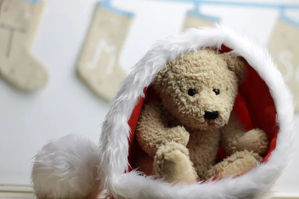 Urso Peluche Bonito Época Natal — Fotografia de Stock