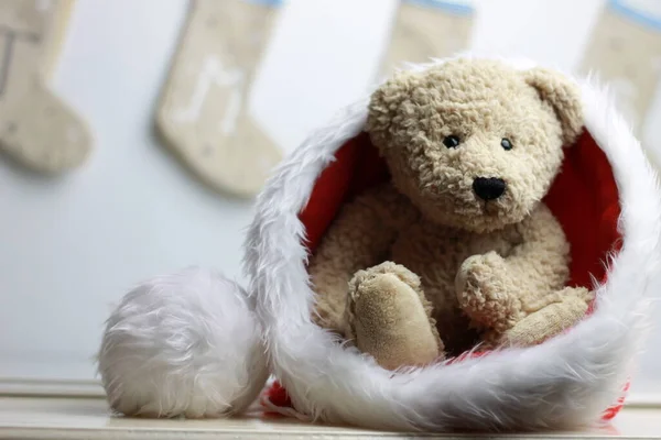 Cute Teddy Bear Christmas Time — Stock Photo, Image
