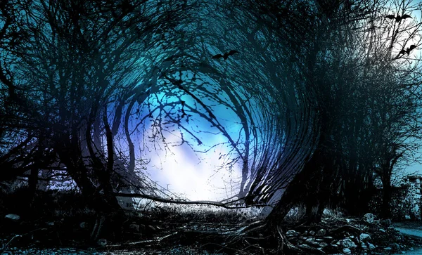 Cadılar Bayramı Geçmişi Ürkütücü Ormanda Dalların Geçidi — Stok fotoğraf