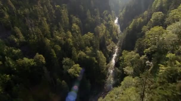 Río Montaña Rápido Cascada Cabeceras Río Montaña Río Tumnin Río — Vídeos de Stock