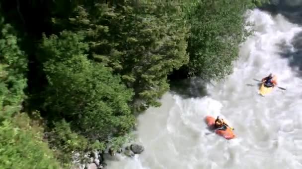 Fast Mountain River Upper Reaches Mountain River Tumnin River Largest — Stock Video