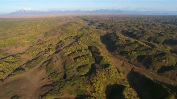 Taiga och berg från fågelperspektiv. Sikhote Alin, ett bergigt land i Fjärran Östern. Vild natur — Stockvideo