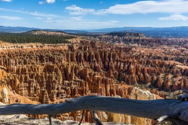 Bryce Canyon, Utah 'ta ilkbaharda bir kaya kabadayısı manzarası