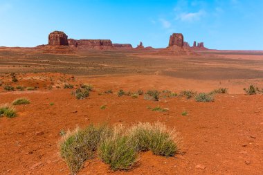 Anıt Vadisi kabile parkındaki Artist Noktası 'ndan izlenen Buttes ve Mesas arkaplanlı bahar bitkileri