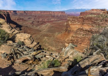 Canyonlands Ulusal Parkı 'nda muhteşem bir bakış açısı.
