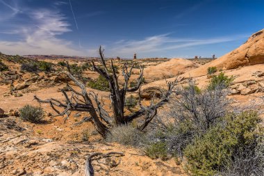 İlkbaharda Arches Ulusal Parkı, Moab, Utah 'taki kaya zirvelerine doğru bir manzara
