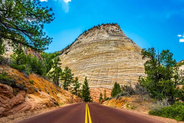 Bahar zamanı Utah 'taki Zion Ulusal Parkı' na giden yola bir Checkerboard Mesas hakim.
