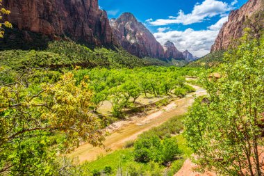 İlkbaharda Utah 'taki Zion Ulusal Parkı' ndan akan Virgin Nehri.