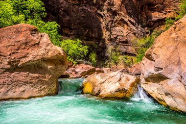 İlkbaharda Utah 'taki Zion Ulusal Parkı' nda Virgin Nehri Narrows 'a giriyor.
