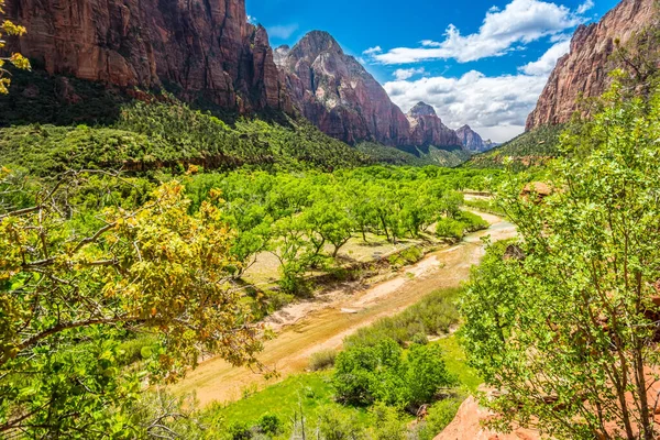 Virgin River Flowing Zion National Park Utah Springtime — Stock Photo, Image