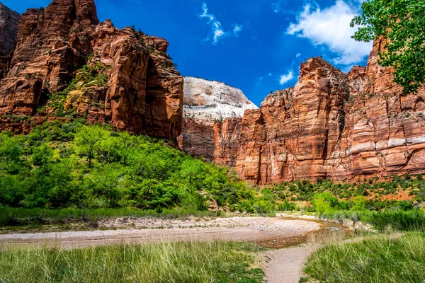 Eine Biegung Virgin River Weeping Rock Zion Nationalpark Utah Frühling — Stockfoto
