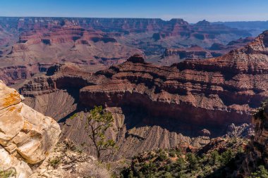 Büyük Kanyon, Arizona 'nın güneyindeki Yaki Noktası' nın ilkbahar manzarası.