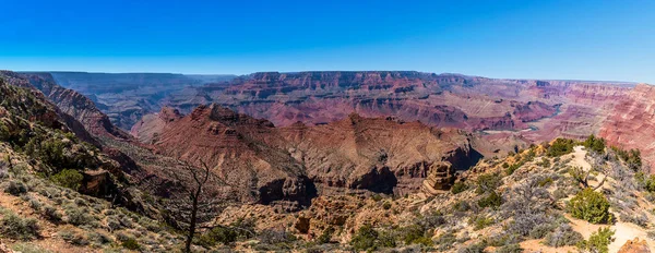 Pohled Grand Canyon Řeku Colorado Pouště — Stock fotografie