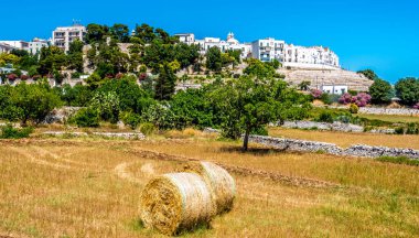 Locorontondo, Puglia, İtalya komşu tarım arazilerinden bir manzara