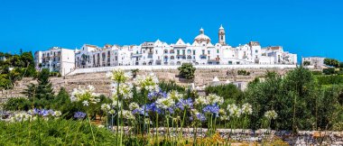 Yaz mevsiminde İtalya, Puglia, Locorontondo 'daki tepedeki yerleşim yerinin önünde bir ayçiçeği tarlası