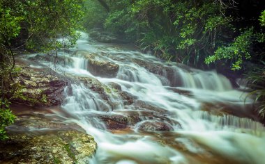 Springbrook Ulusal Parkı, Queensland, Avustralya 'da uzun süreli hızlı çekim