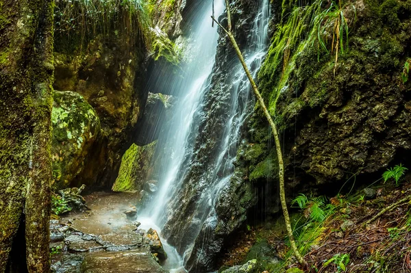 Uma Cachoeira Lado Caminho Twin Falls Parque Nacional Springbrook Queensland — Fotografia de Stock
