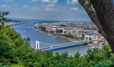 Gellert Tepesi 'nden Budapeşte' deki Tuna Nehri manzarası yaz mevsiminde ağaçlarla çevrili.