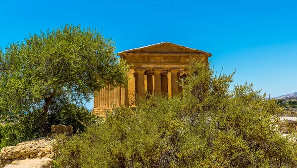 Konkordiya Tapınağı Antik Sicilya Şehri Agrigento Yaz Aylarında Ağaçların Arasından — Stok fotoğraf