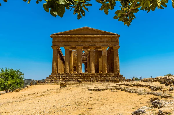 Una Vista Del Templo Concordia Vista Través Dosel Árboles Antigua — Foto de Stock