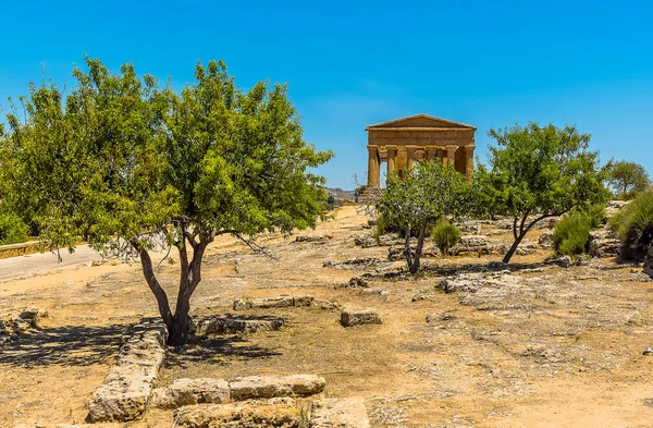 The Temple of Concordia with Olive trees in the foreground in the ancient Sicilian city of Agrigento in summer