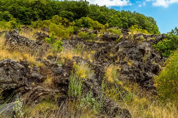 Rand Van Een Oude Lava Stroomt Van Etna Sicilië Toont — Stockfoto