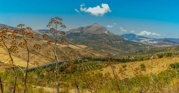 Шоссе Палермо Катания Проходит Дну Долины Горах Мадони Сицилия Летом — стоковое фото